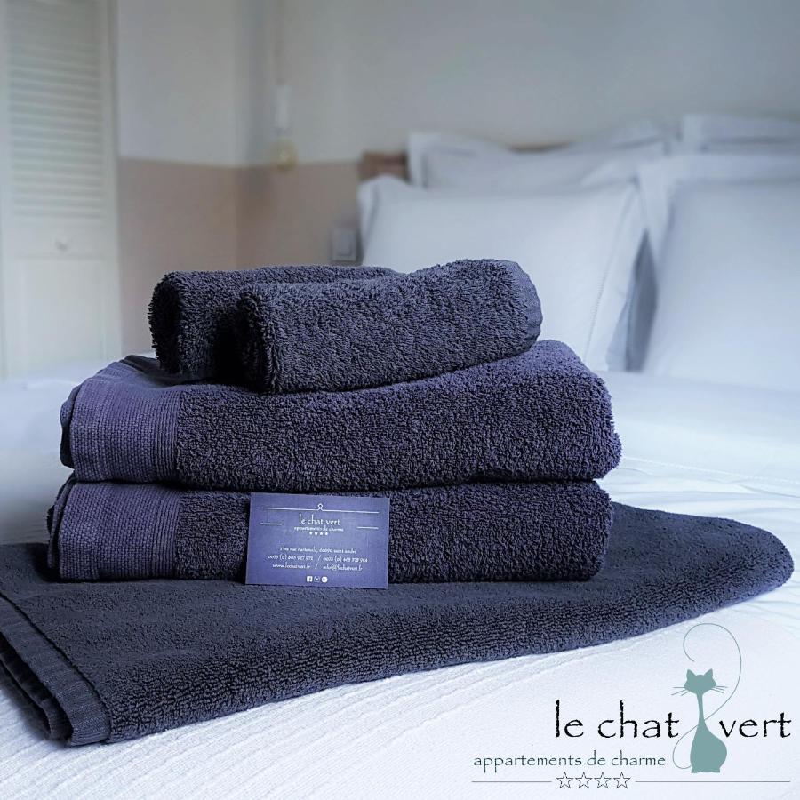 Le Chat Vert - Appartements Adults Only Saint-André Kültér fotó